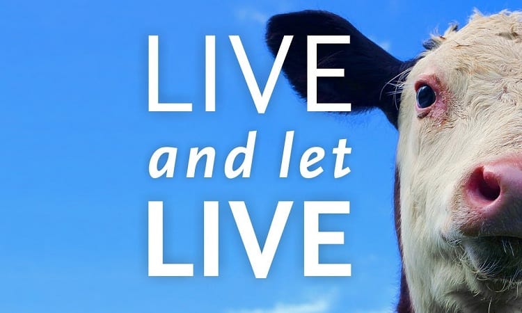 #9 Live and Let Live