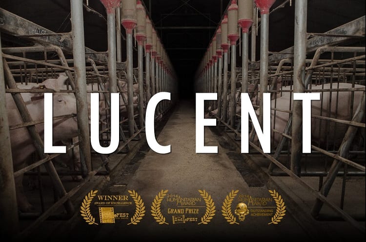 #10 Lucent